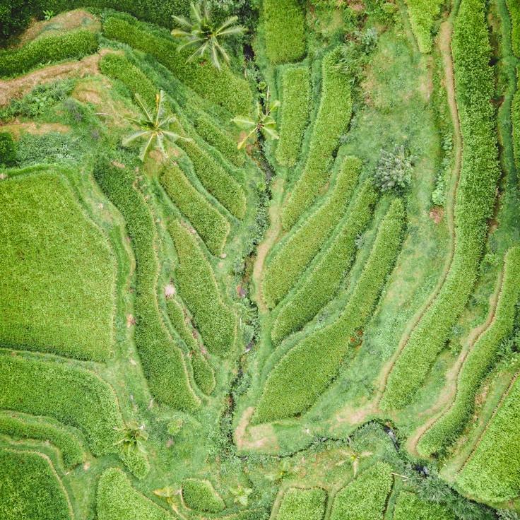 Family-friendly dining with comfortable seating